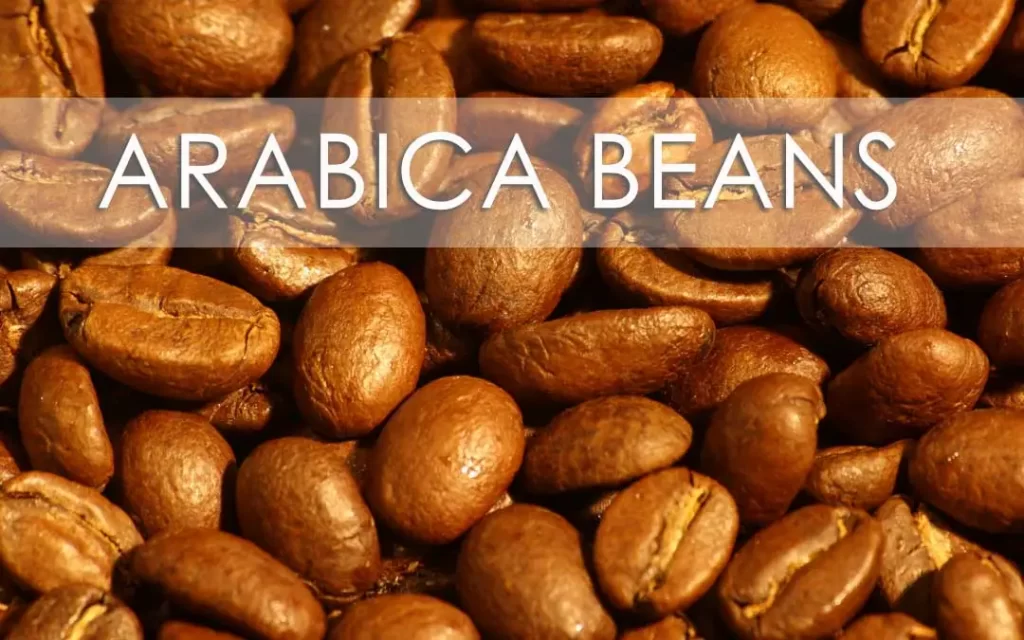 Arabica coffee