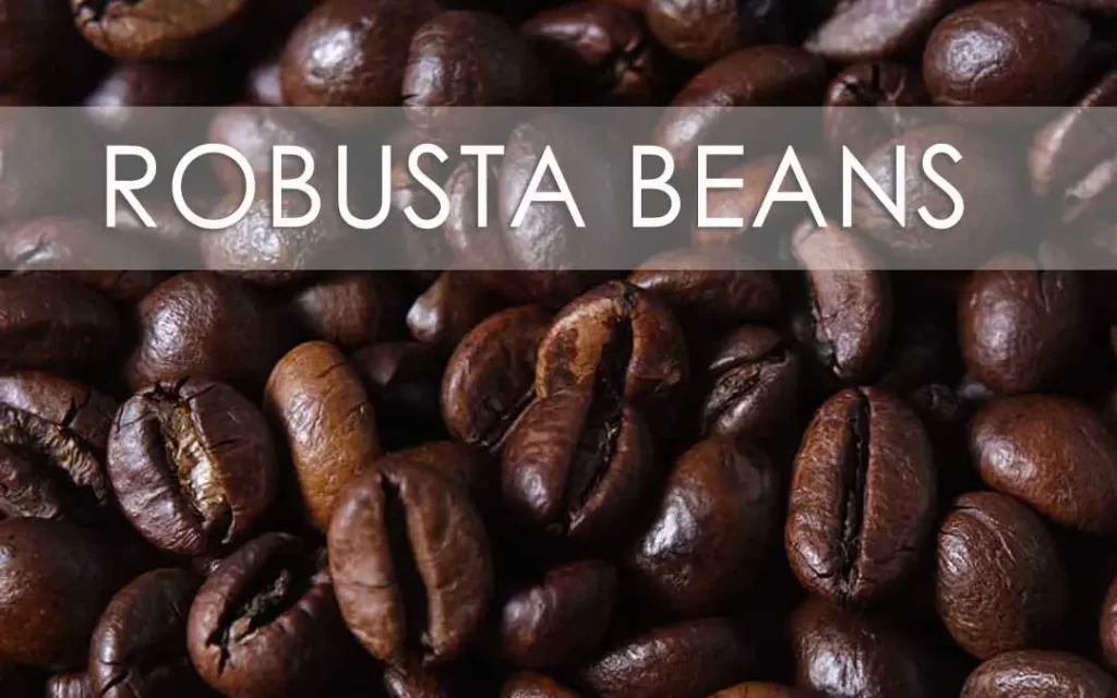 Robusta coffee