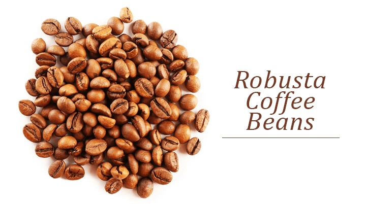 Robusta coffee beans